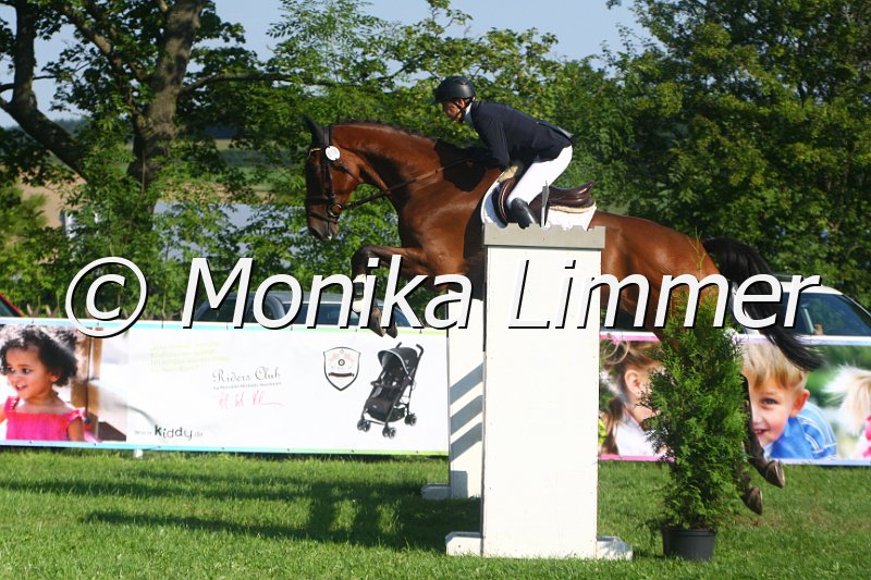 308M9278_Chelsea_Springpferde A.JPG